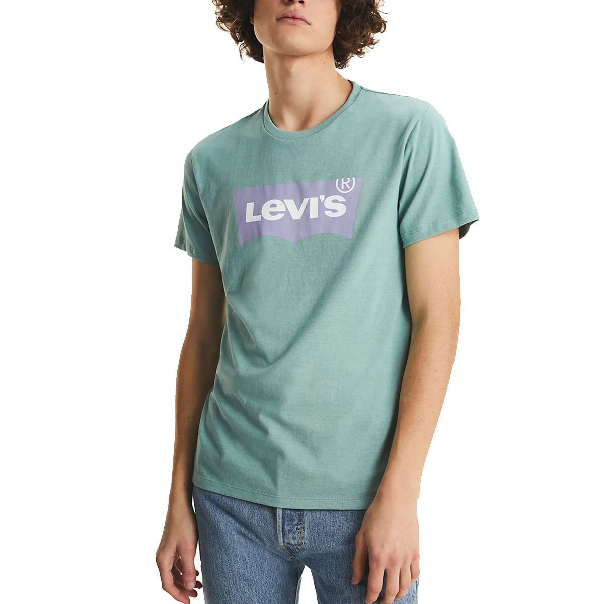 Remera Levis Standard Graphic Crew Hombre