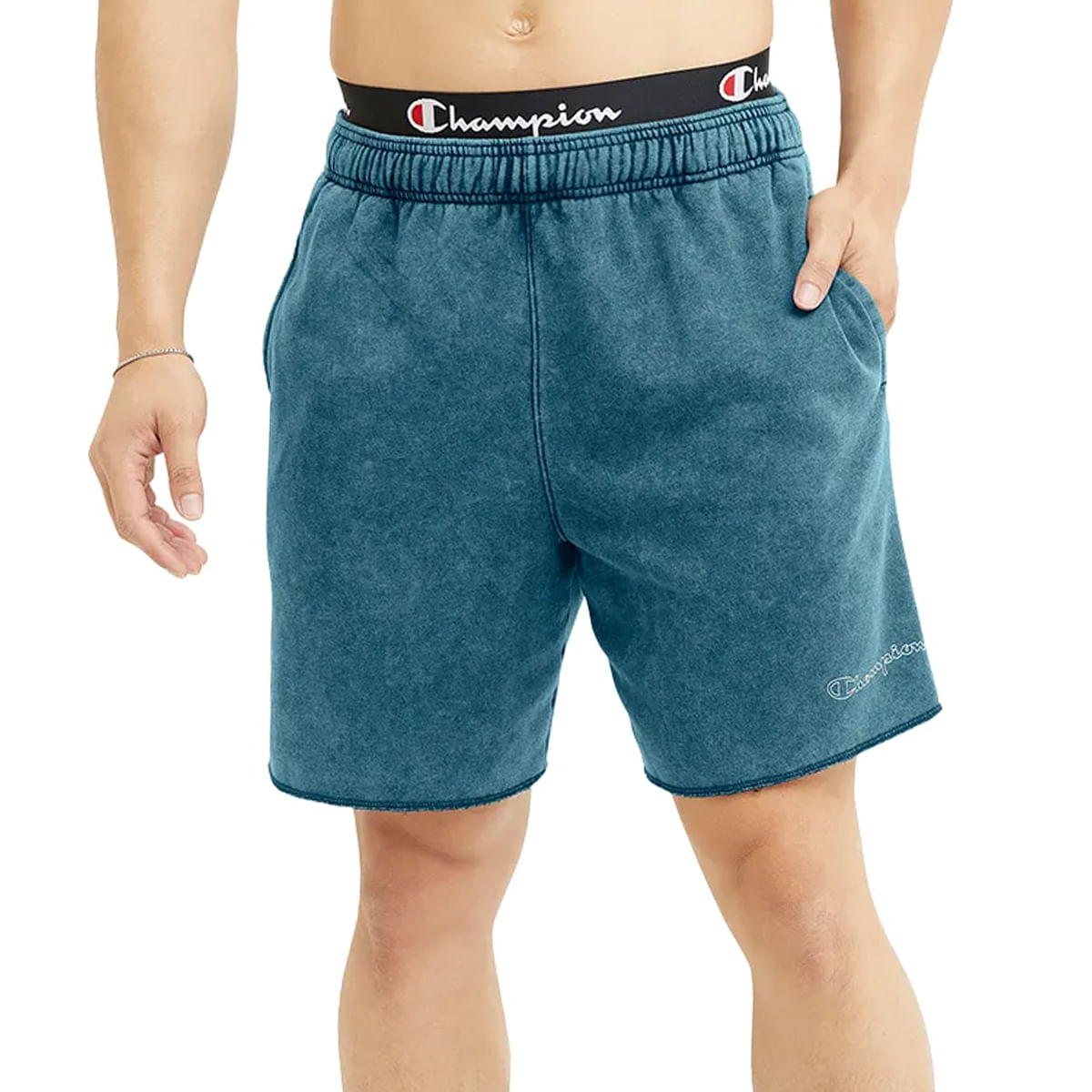 Champion shorts outlet mens