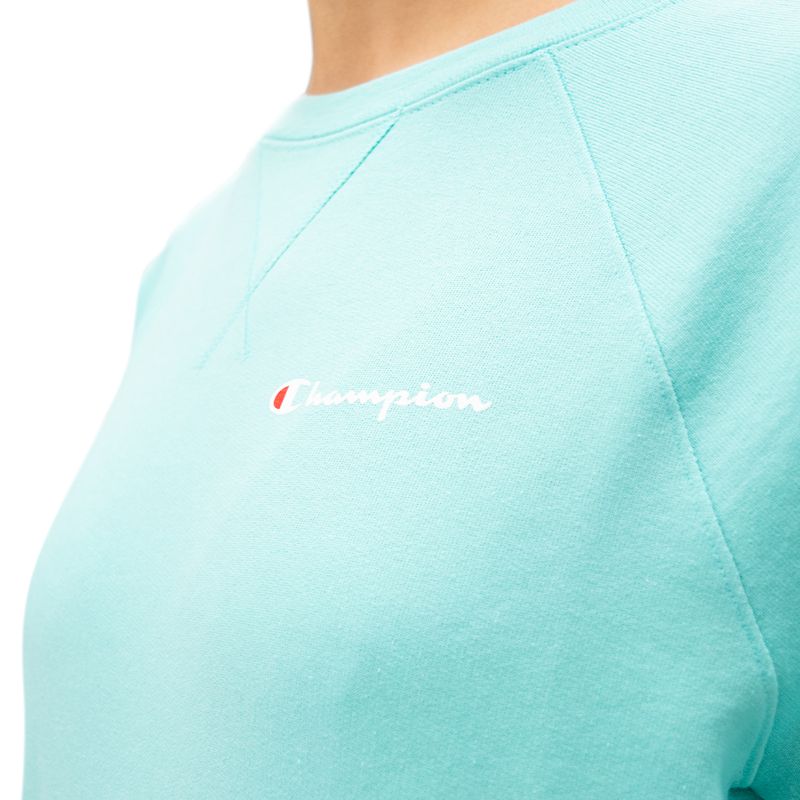 Champion sweater mint clearance xs