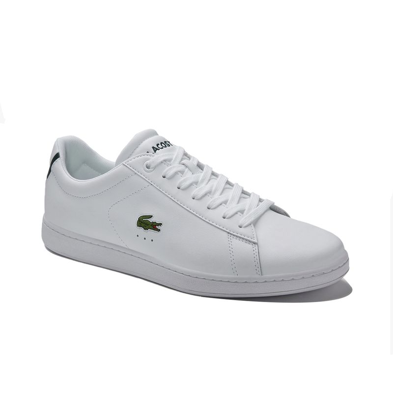 Carnaby 2025 evo lacoste