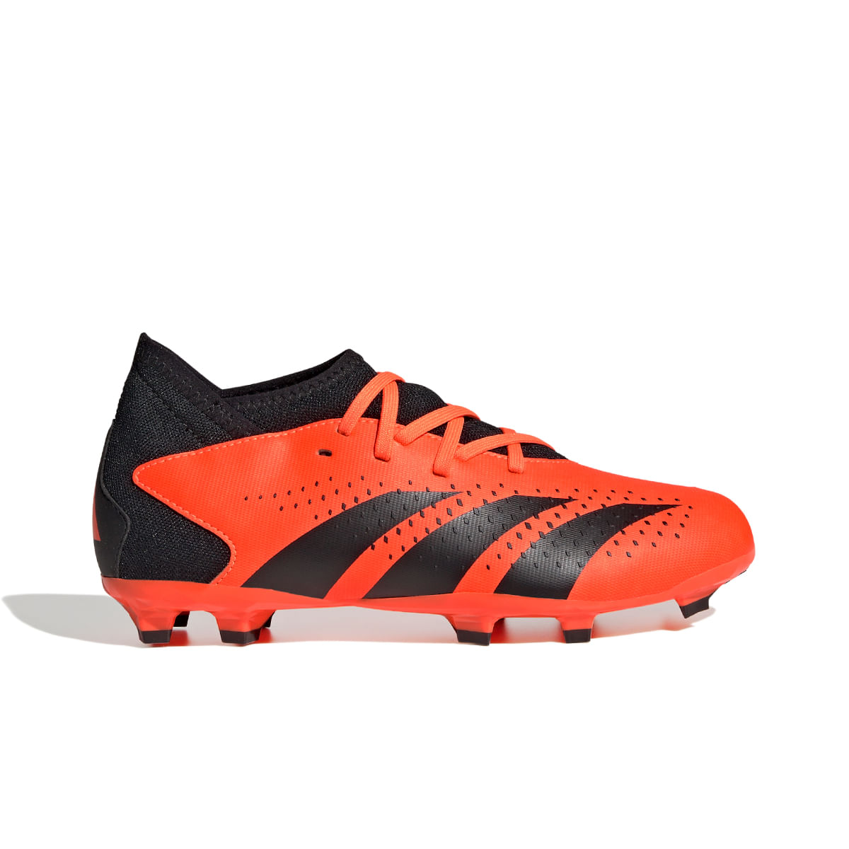 Botines Adidas Predator Accuracy.3 Fg NiNo a