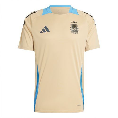 Remera Adidas Argentina Afa Tr Hombre