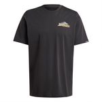 Remera Adidas Outdoor Terrex Back Gfx Hombre