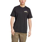 Remera Adidas Outdoor Terrex Back Gfx Hombre