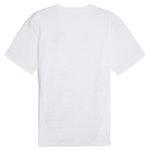 Remera Borussia Dortmund Puma Prematch 24/25 Hombre