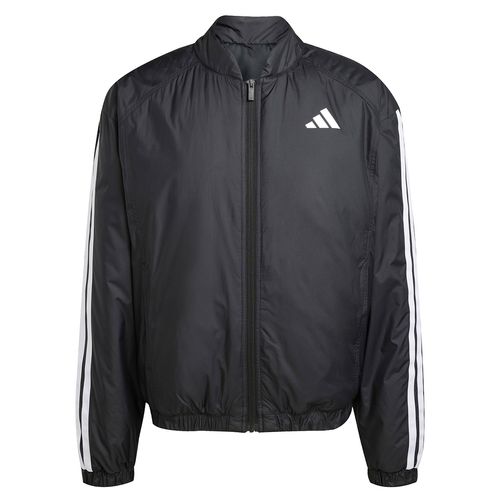 Campera Adidas Sportswear Bomber Essentials Hombre