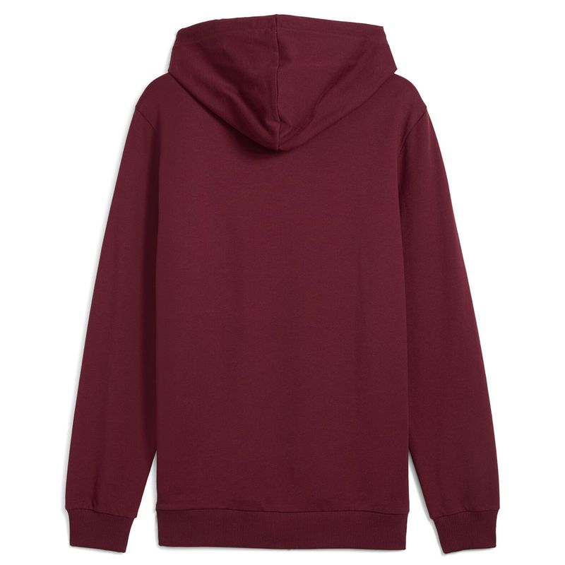 Buzo Manchester City Puma Ftblnrgy Hombre