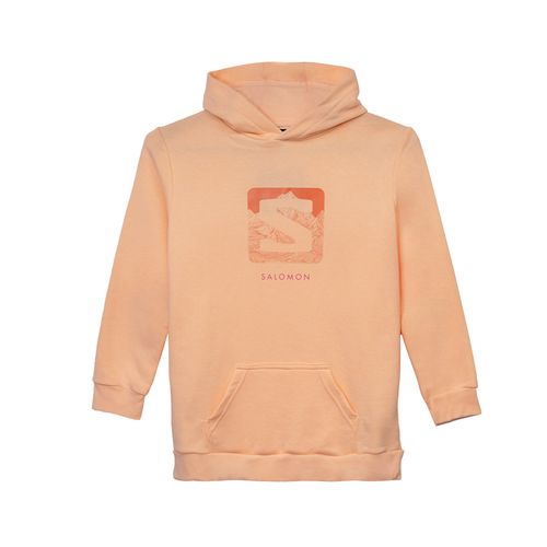 Buzo Salomon Canguro Logo Lt NiÑo/a