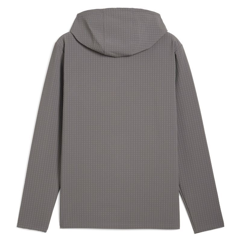 Campera Puma Training Team Additions Softshell Hombre