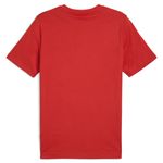 Remera Puma Graphics Sneaker Hombre