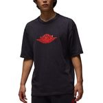 Remera Jordan Rare Air Washed Hombre