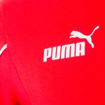 Remera Independiente Puma Ftbl Tee 25/26 Hombre