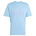Remera Adidas Originals Graphic Hombre