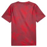 Remera Independiente Puma Entrenamiento 25/26 Hombre
