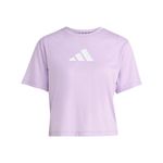 Remera Adidas Training Essentials Big Logo Mujer