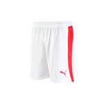 Short Independiente Puma Alternativo 25/26 Hombre