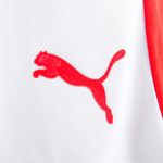 Short Independiente Puma Alternativo 25/26 Hombre