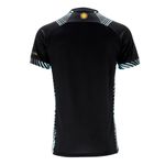Camiseta Argentina Le Coq Voley Alternativa 1 2025 Hombre