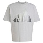 Remera Adidas Holiday Hombre