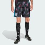 Short Argentina Adidas Afa Arquero 2026 Hombre