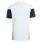 Remera Argentina Adidas Afa Entrenamiento 2026 Hombre