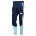 Pantalon Argentina Adidas Afa Entrenamiento 2026 Hombre
