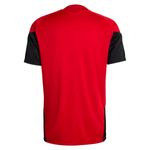 Remera Alemania Adidas Dfb Entrenamiento 2026 Hombre