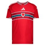 Camiseta Gales Adidas Faw Authentic Titular 2026 Hombre