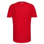 Camiseta Gales Adidas Faw Authentic Titular 2026 Hombre