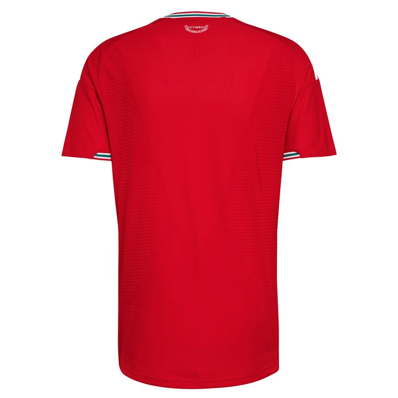 Camiseta Gales Adidas Faw Authentic Titular 2026 Hombre