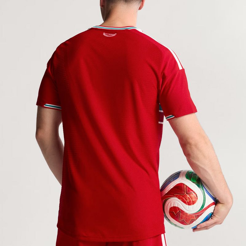 Camiseta Gales Adidas Faw Authentic Titular 2026 Hombre