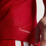 Camiseta Gales Adidas Faw Authentic Titular 2026 Hombre