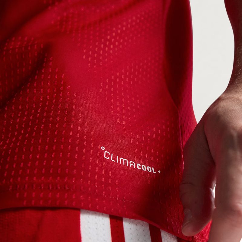 Camiseta Gales Adidas Faw Authentic Titular 2026 Hombre