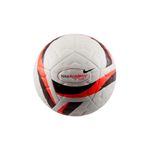 Pelota Nike Academy Plus