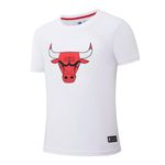 Remera Chicago Bulls Nba Basic Primary Logo Hombre