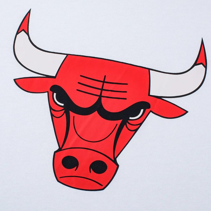 Remera Chicago Bulls Nba Basic Primary Logo Hombre