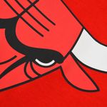 Remera Chicago Bulls Nba Basic Primary Logo Hombre