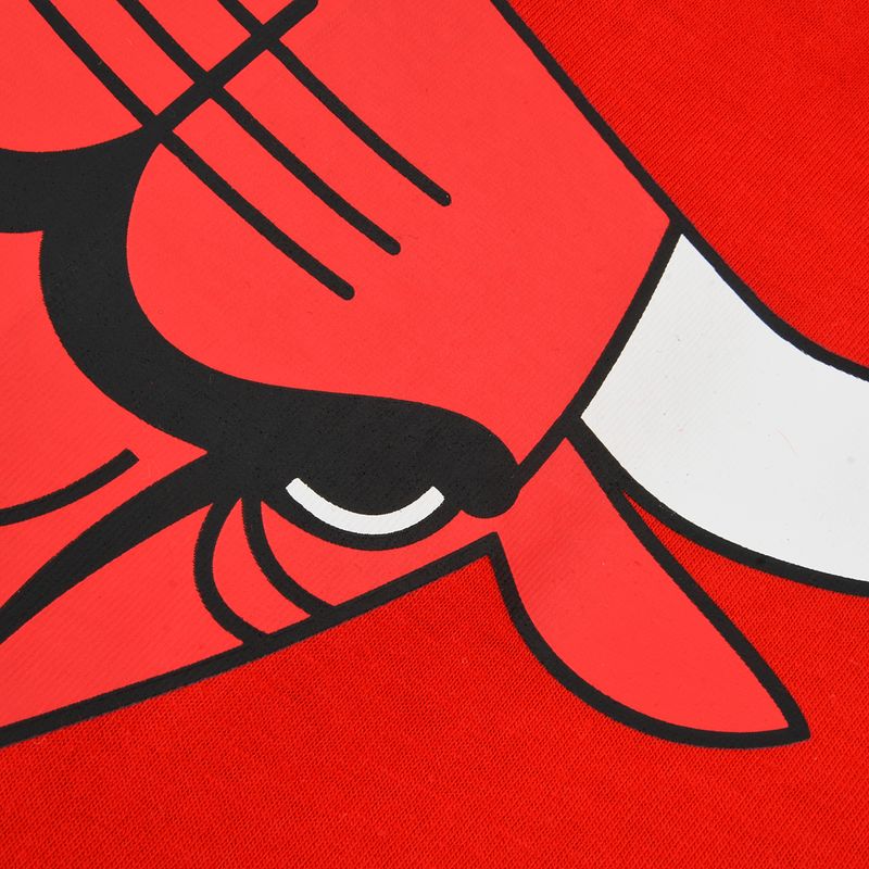 Remera Chicago Bulls Nba Basic Primary Logo Hombre