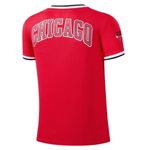 Remera Chicago Bulls Nba Primary Team Logo Basic Hombre