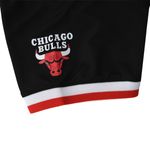 Remera Chicago Bulls Nba Primary Team Logo Basic Hombre