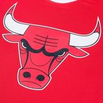 Remera Chicago Bulls Nba Primary Team Logo Basic Hombre