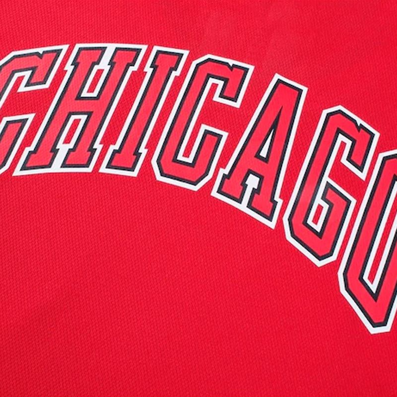 Remera Chicago Bulls Nba Primary Team Logo Basic Hombre