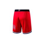Short Chicago Bulls Nba Arc Wordmark Hombre
