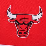Short Chicago Bulls Nba Arc Wordmark Hombre