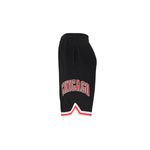 Short Chicago Bulls Nba Arc Wordmark Hombre