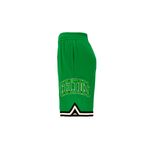 Short Boston Celtics Nba Arc Wordmark Hombre
