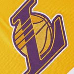 Short Los Angeles Lakers Nba Arc Wordmark Hombre