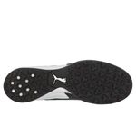 Botines Puma Borussia Tf Evo Hombre