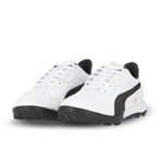 Botines Puma Borussia Tf Evo Hombre