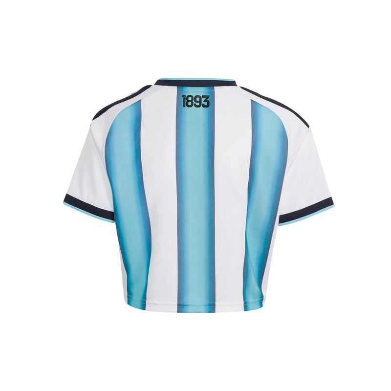 Camiseta Argentina Adidas Afa Tiro Alto 2026 Mujer